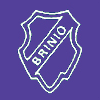 Brinio logo
